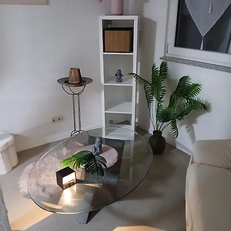 Apartment Großzügige Fewo, 2 Schlafzimmer&2 Küchen